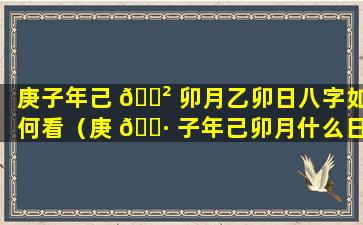 庚子年己 🌲 卯月乙卯日八字如何看（庚 🌷 子年己卯月什么日生宝宝好）